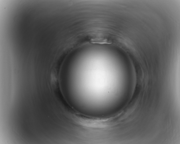 X0000089890040200707051236