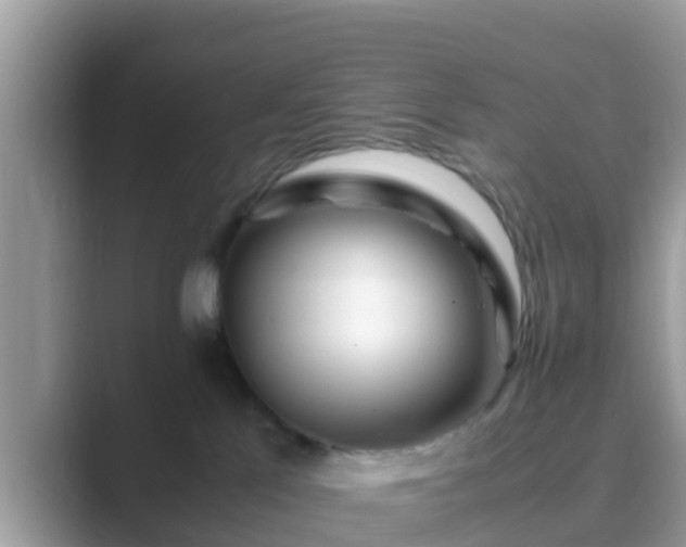 X0000089890041200707051236