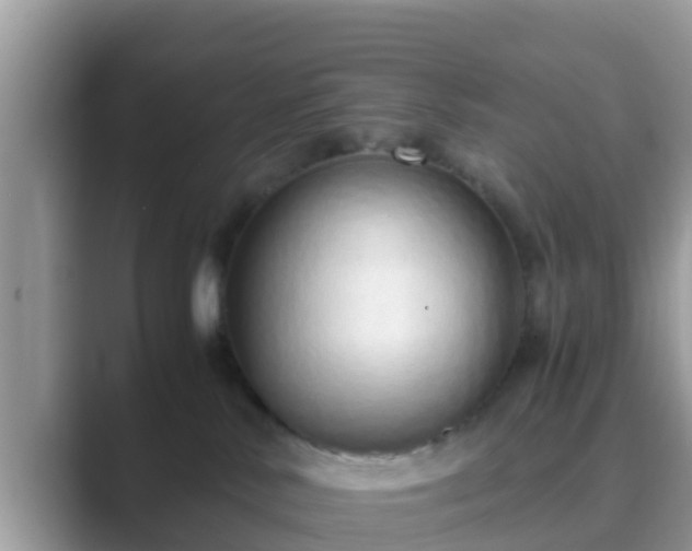 X0000089890042200707051236