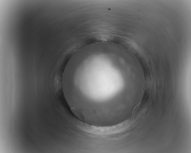 X0000089890043200707051236