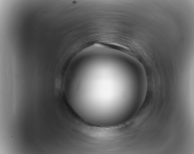 X0000089890044200707051236