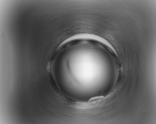 X0000089890045200707051236