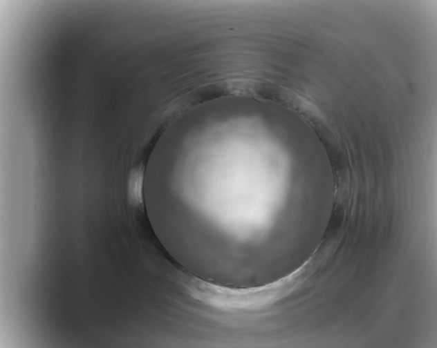 X0000089890047200707051236