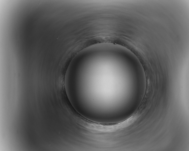 X0000089890048200707051236