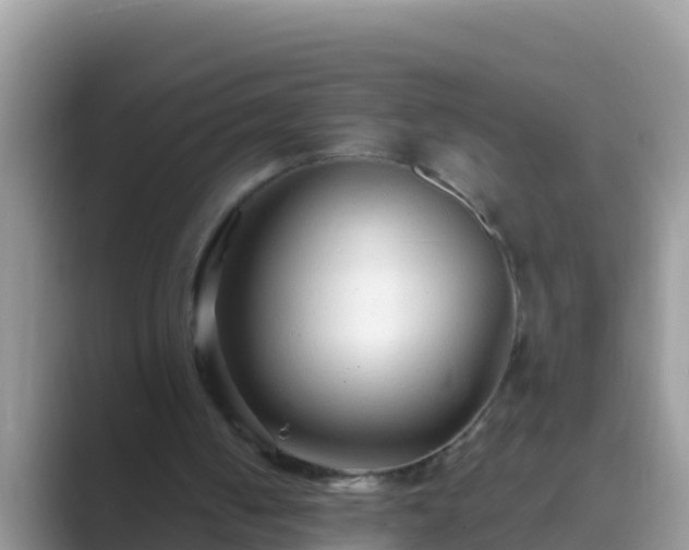 X0000089890050200707051236