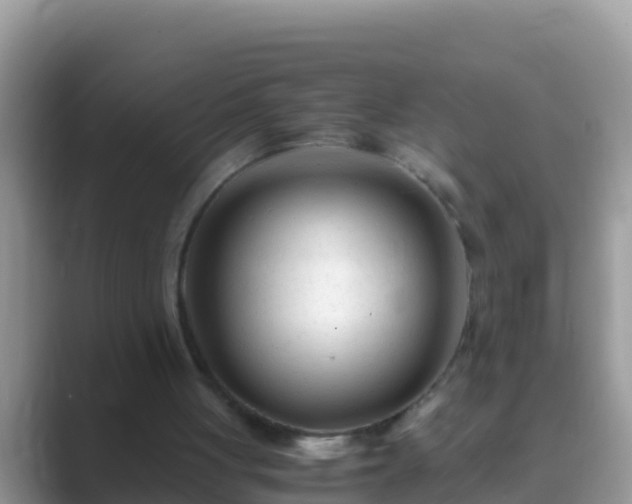 X0000089890051200707051236