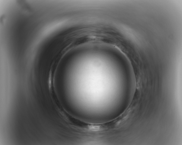 X0000089890052200707051236