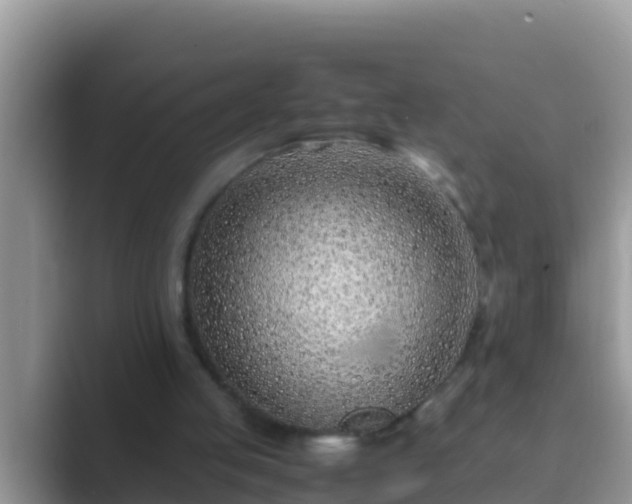 X0000089890053200707051236