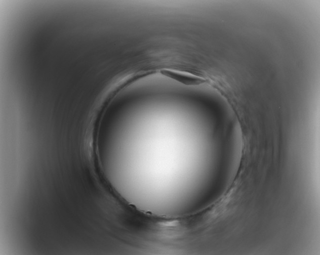 X0000089890054200707051236