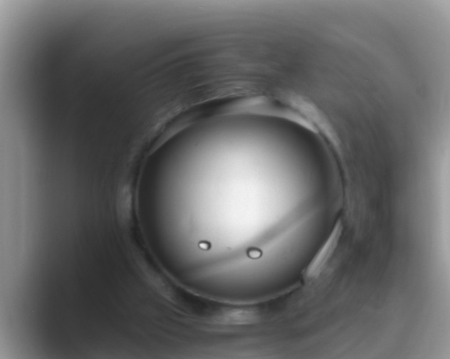 X0000089890057200707051236