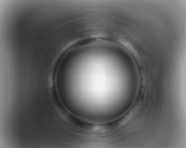 X0000089890060200707051236