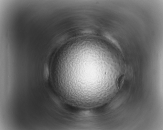 X0000089890061200707051236