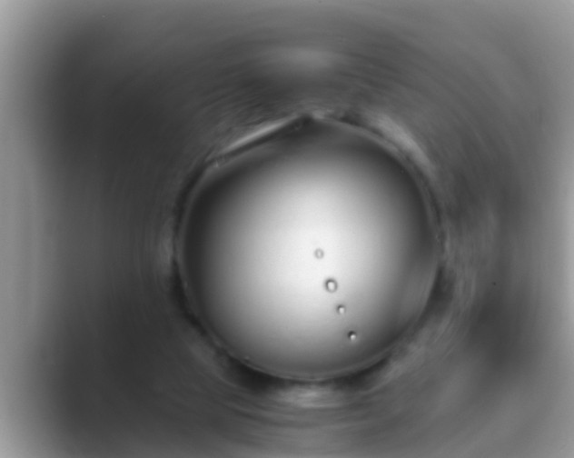 X0000089890065200707051236