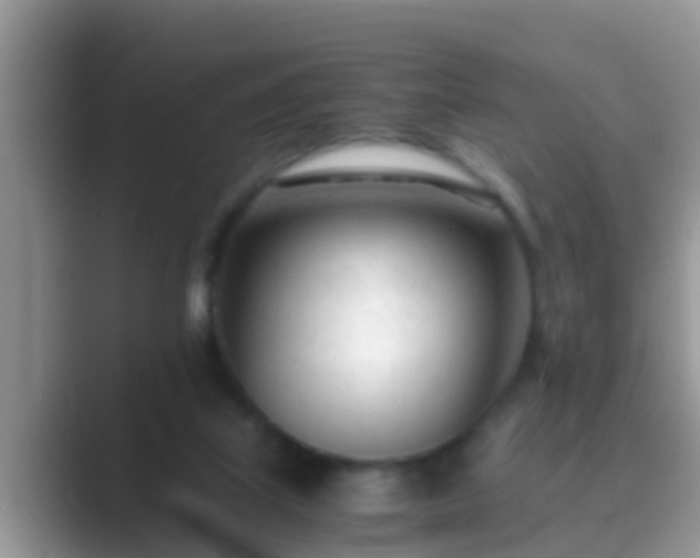 X0000089890067200707051236