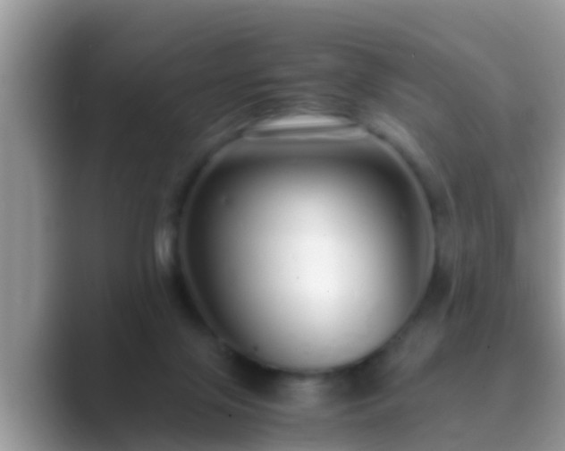 X0000089890071200707051236