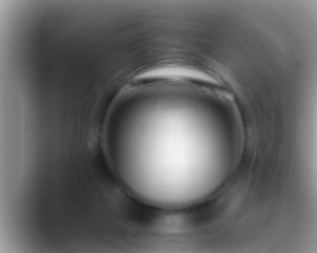 X0000089890073200707051236