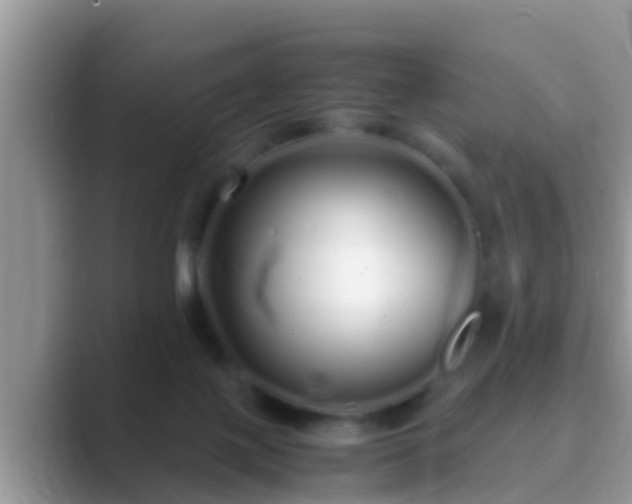 X0000089890075200707051236