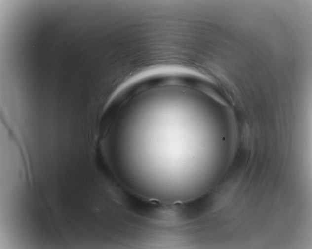 X0000089890076200707051236