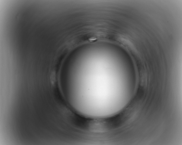 X0000089890077200707051236