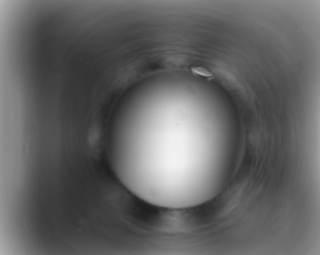 X0000089890079200707051236