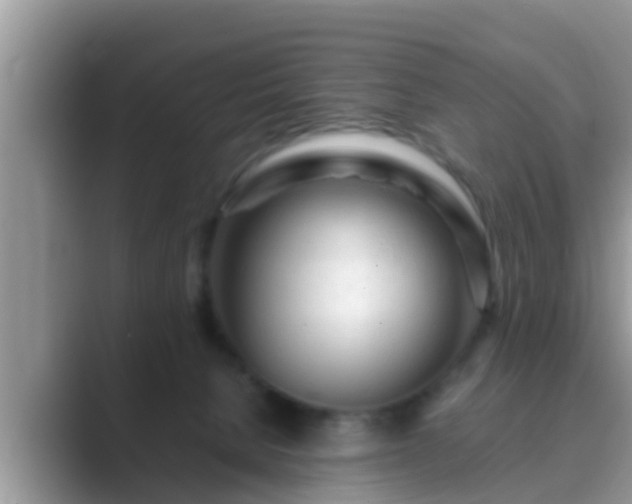 X0000089890080200707051236