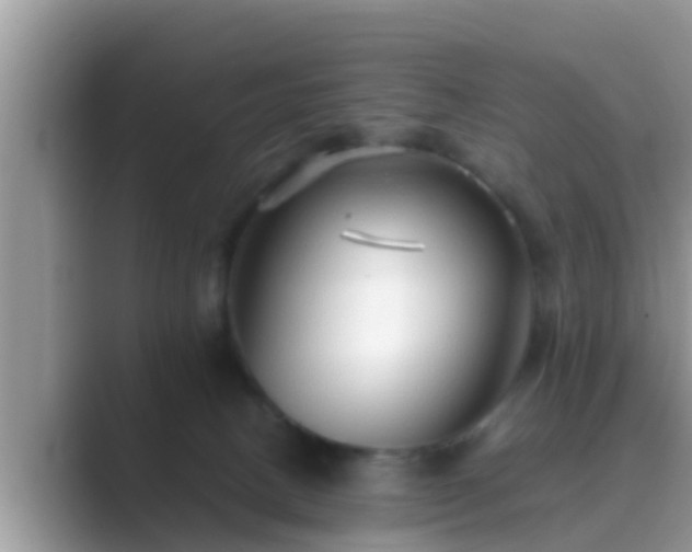 X0000089890082200707051236