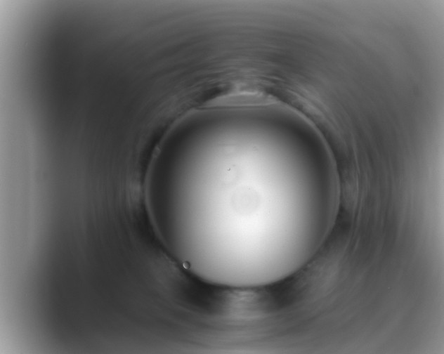 X0000089890085200707051236