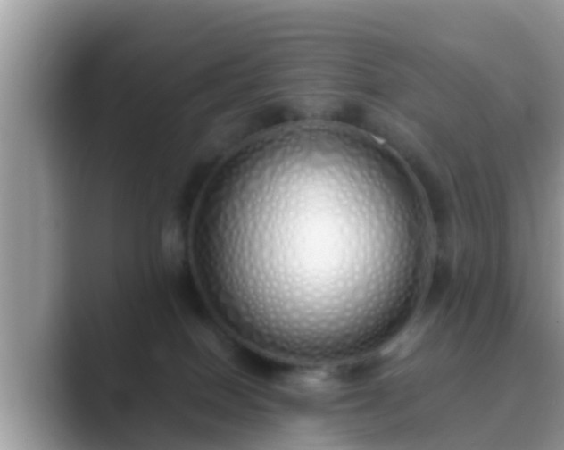 X0000089890086200707051236