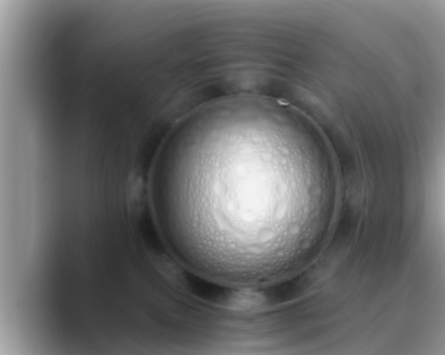 X0000089890087200707051236