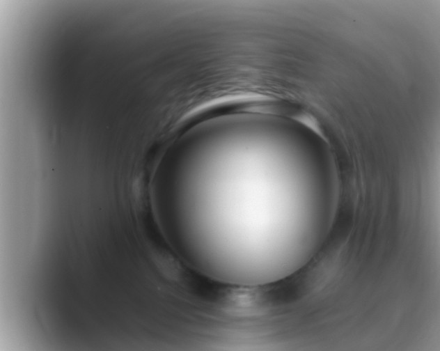 X0000089890088200707051236