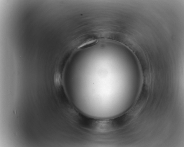 X0000089890089200707051236