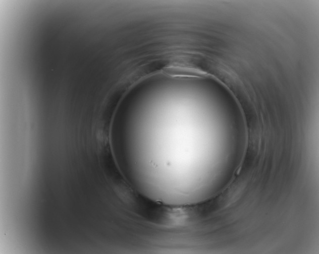 X0000089890091200707051236