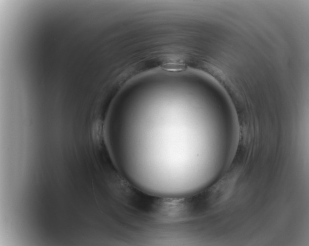 X0000089890093200707051236