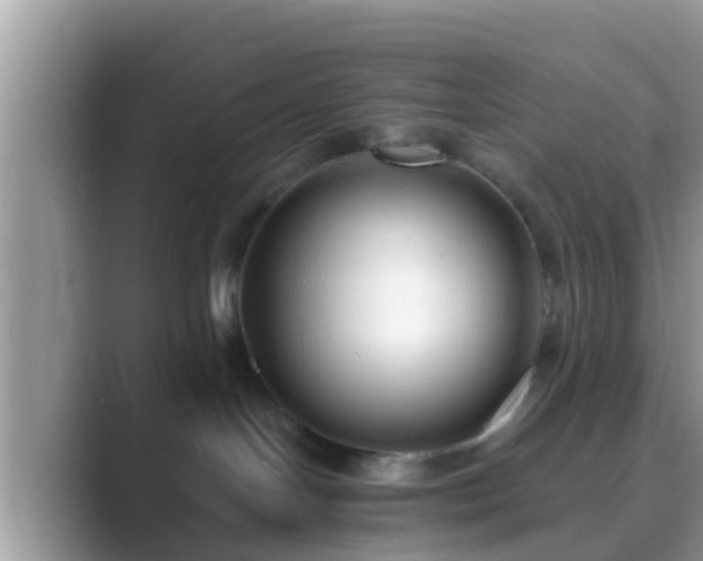 X0000089890094200707051236