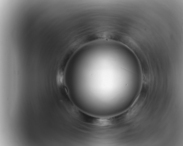 X0000089890095200707051236