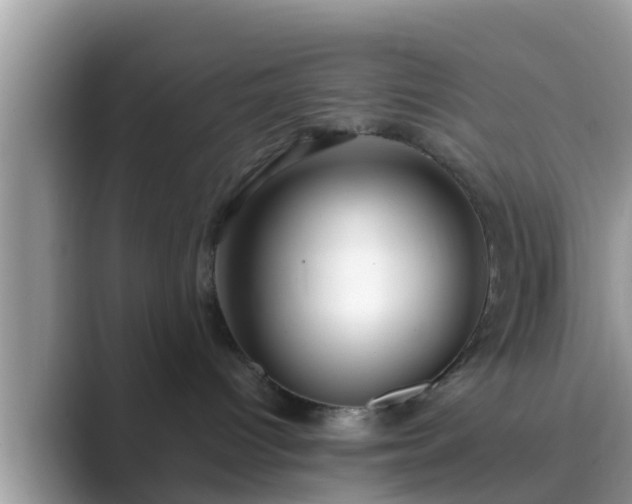 X0000089890096200707051236