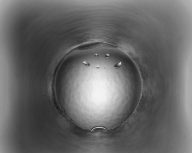 X0000089890098200707051236