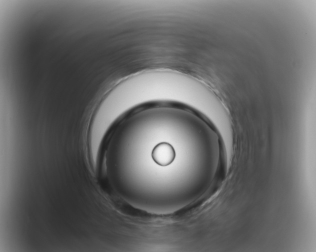 X0000089890099200707051236