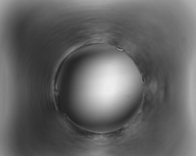 X0000089890100200707051236