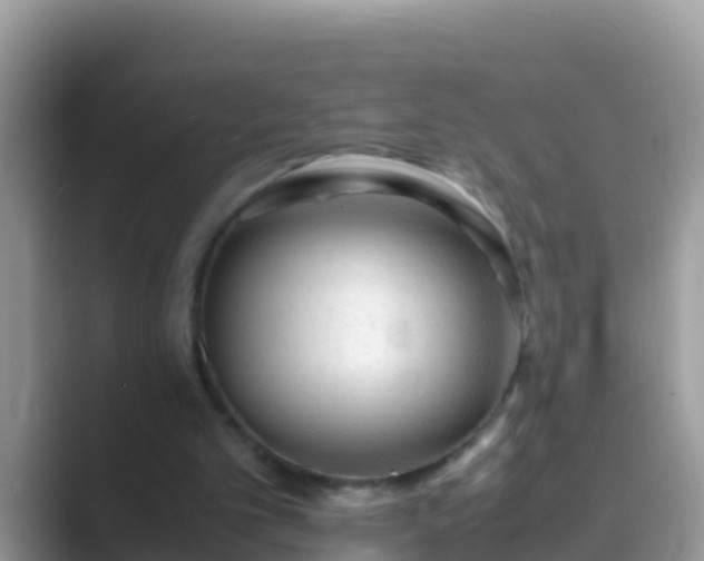 X0000089890101200707051236