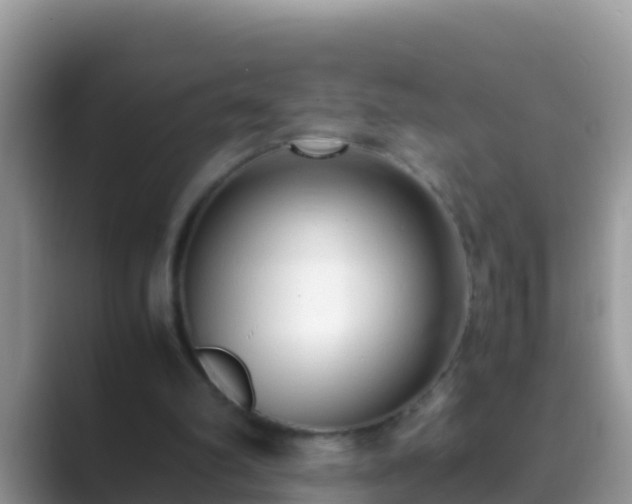 X0000089890102200707051236