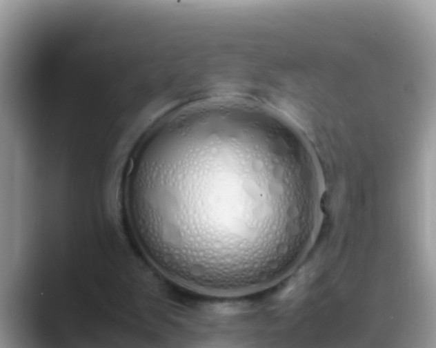 X0000089890103200707051236