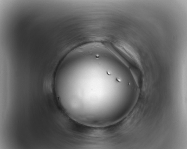 X0000089890107200707051235