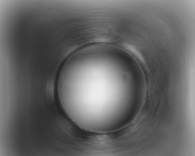 X0000089890108200707051235