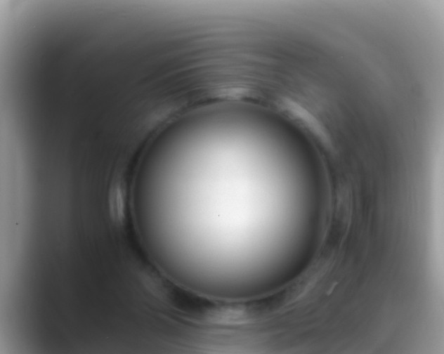 X0000089890110200707051235