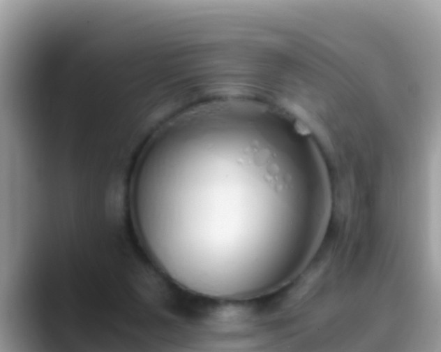 X0000089890111200707051235