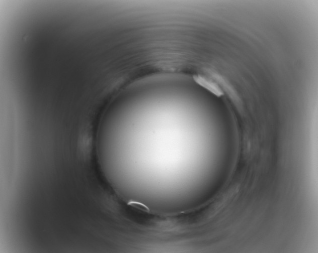 X0000089890113200707051235