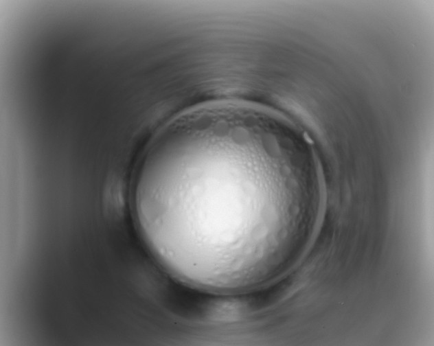 X0000089890115200707051235