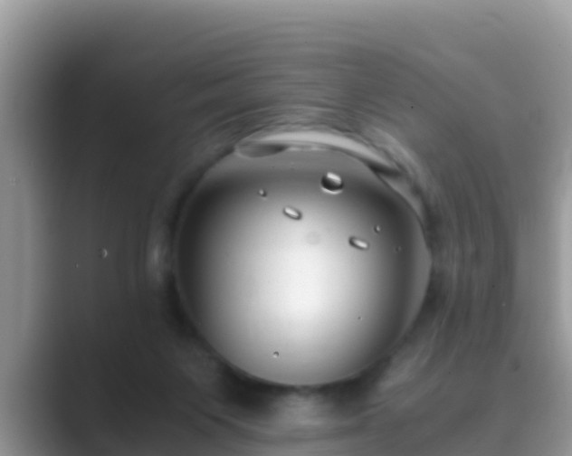 X0000089890119200707051235