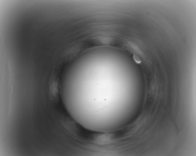 X0000089890122200707051235